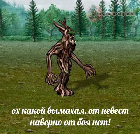 какой бымахал, от невест наверно от боя нет!