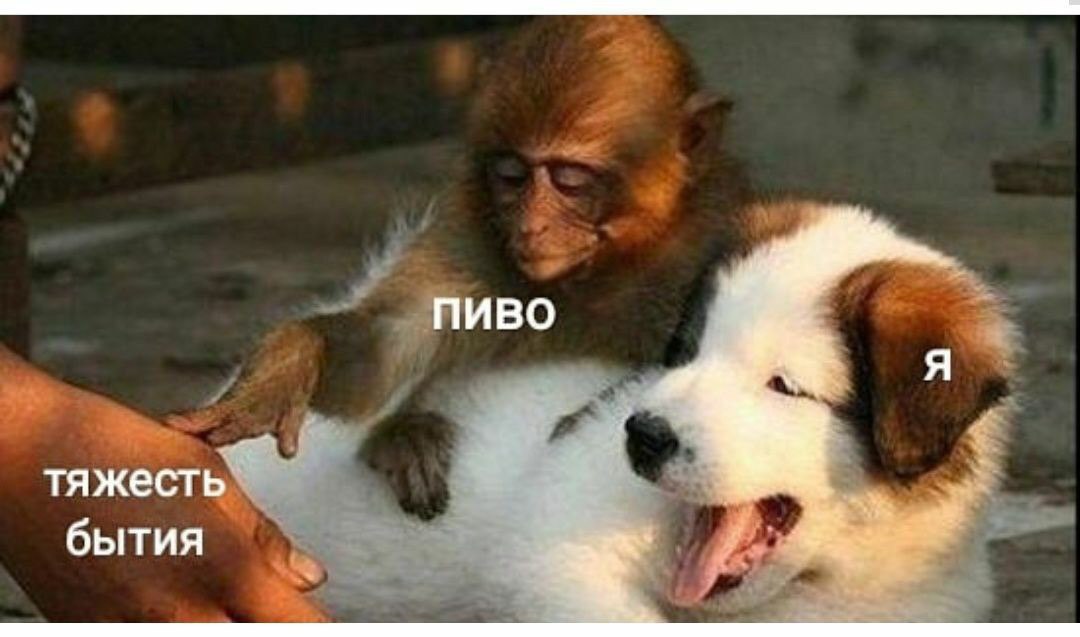 ПИВО тяжесть бытия