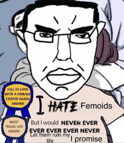 FELL IN LOVE WITH A FEMALE FRIEND AGAIN AWARD HATE Femoid MOST But |would NEVER EVER TRAGIC LIFE AWARD EVER EVER NEVER ruin life