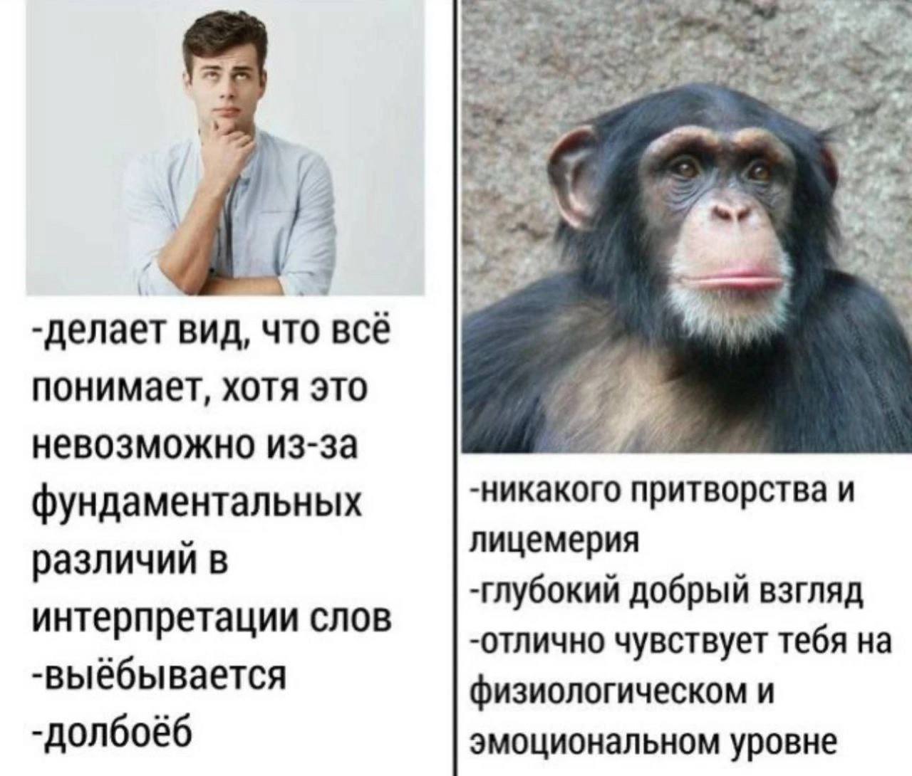 делает ВИД, что всё понимает, хотя это невозможно из-за фундаментальных -никакого притворства и лицемерия различий в -глубокий добрый взгляд интерпретации слов -отлично чувствует тебя на -выёбывается 