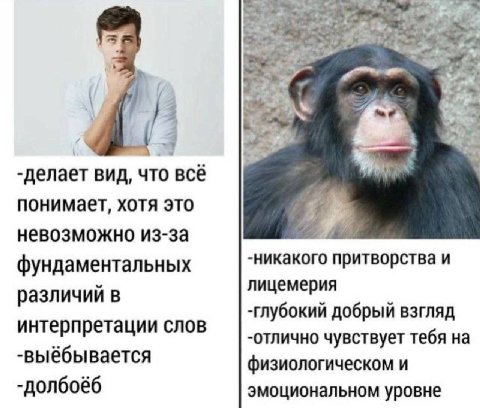 делает ВИД, что всё понимает, хотя это невозможно из-за фундаментальных -никакого притворства и лицемерия различий в -глубокий добрый взгляд интерпретации слов -отлично чувствует тебя на -выёбывается 