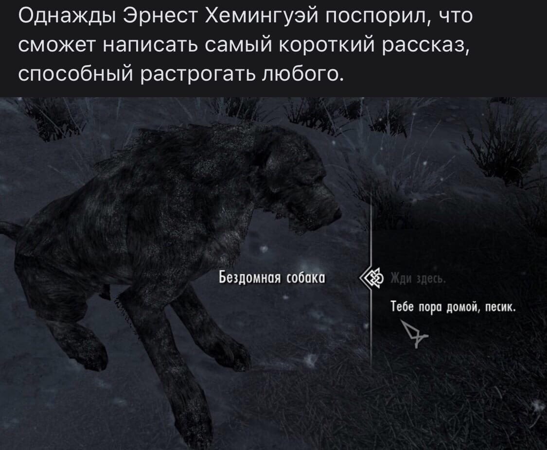 Однажды Эрнест Хемингуэй поспорил, что сможет написать самый короткий рассказ, способный растрогать любого. Бездомная собака Тебе пора домой, песик.