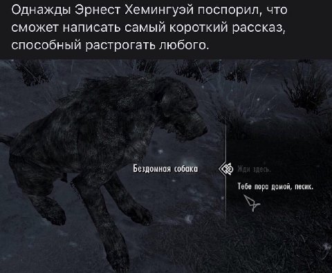 Однажды Эрнест Хемингуэй поспорил, что сможет написать самый короткий рассказ, способный растрогать любого. Бездомная собака Тебе пора домой, песик.