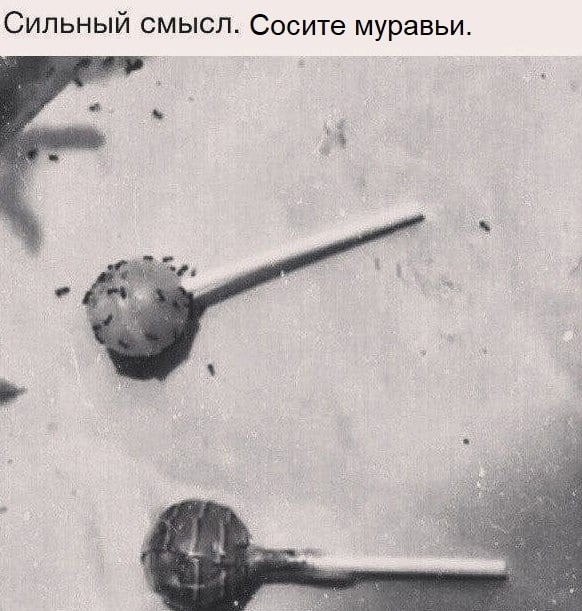 Сильный смысл. Сосите муравьи. 4