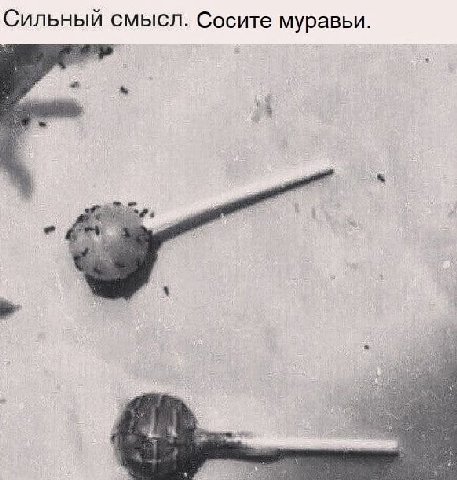 Сильный смысл. Сосите муравьи. 4