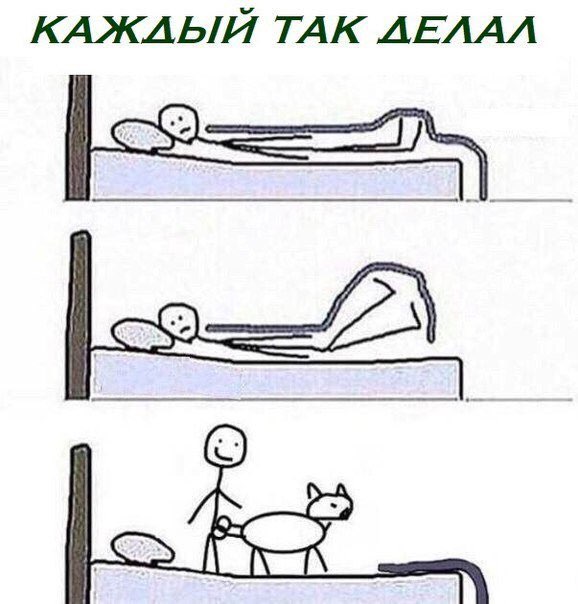 КАЖЛЫЙ TAK ЛЕЛАЛ
