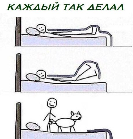 КАЖЛЫЙ TAK ЛЕЛАЛ