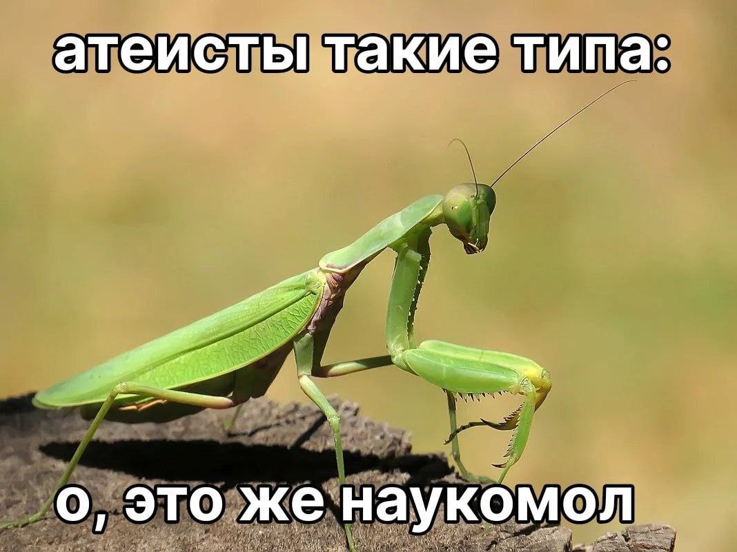 атеисты такие типа: о, это же наукомол