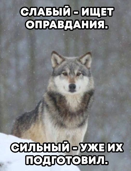 СЛАБЫЙ ИЩЕТ ОПРАВДАНИЯ. СИЛЬНЫЙ УЖЕ ПОДГОТОВИЛ.
