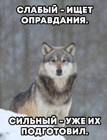 СЛАБЫЙ ИЩЕТ ОПРАВДАНИЯ. СИЛЬНЫЙ УЖЕ ПОДГОТОВИЛ.