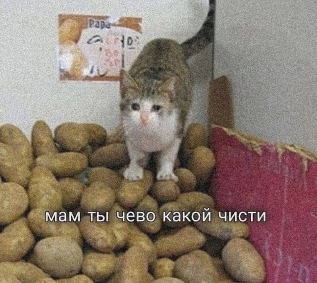 я