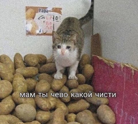 я