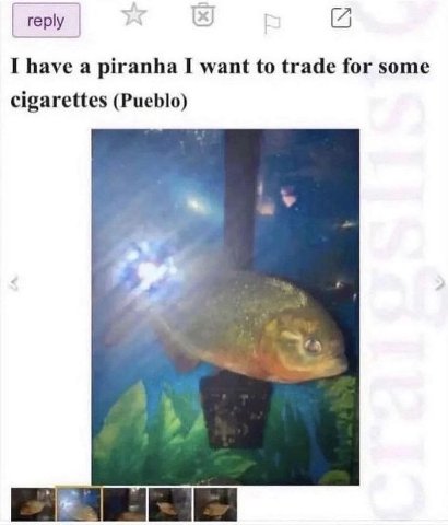 reply [7 I have a piranha I want to trade for some cigarettes (Pueblo) А