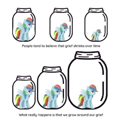 „у 1 if People tend to believe that grief shrinks over time What really happens is that we grow around our grief