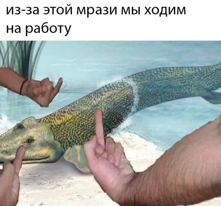 из-за этой мрази мы ходим на работу 7 и