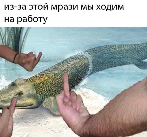 из-за этой мрази мы ходим на работу 7 и