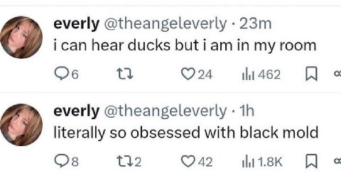 everly @theangeleverly ican hear ducks in room 462 A everly @theangeleverly literally so obsessed with black mold 42