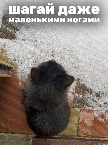 шагай даже маленькими ногами a i