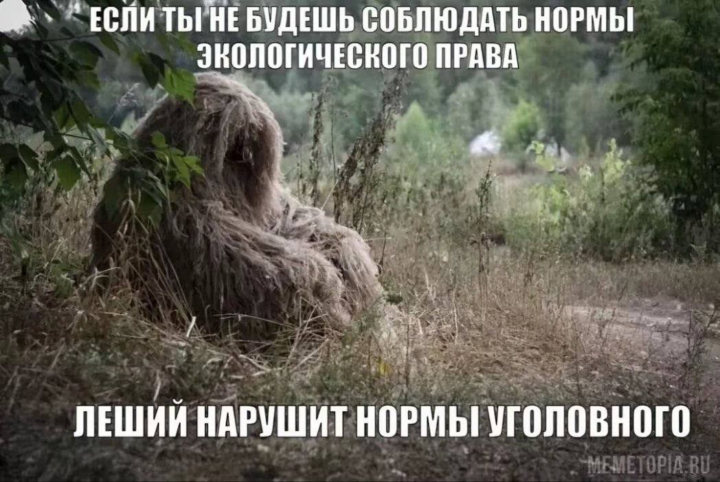 НЕ БУДЕШЬ СОБЛЮДАТЬ НОРМЫ ЭКОЛОГИЧЕСКОГО ПРАВА ЛЕШИЙ НАРУШИТ НОРМЫ УГОЛОВНОГО