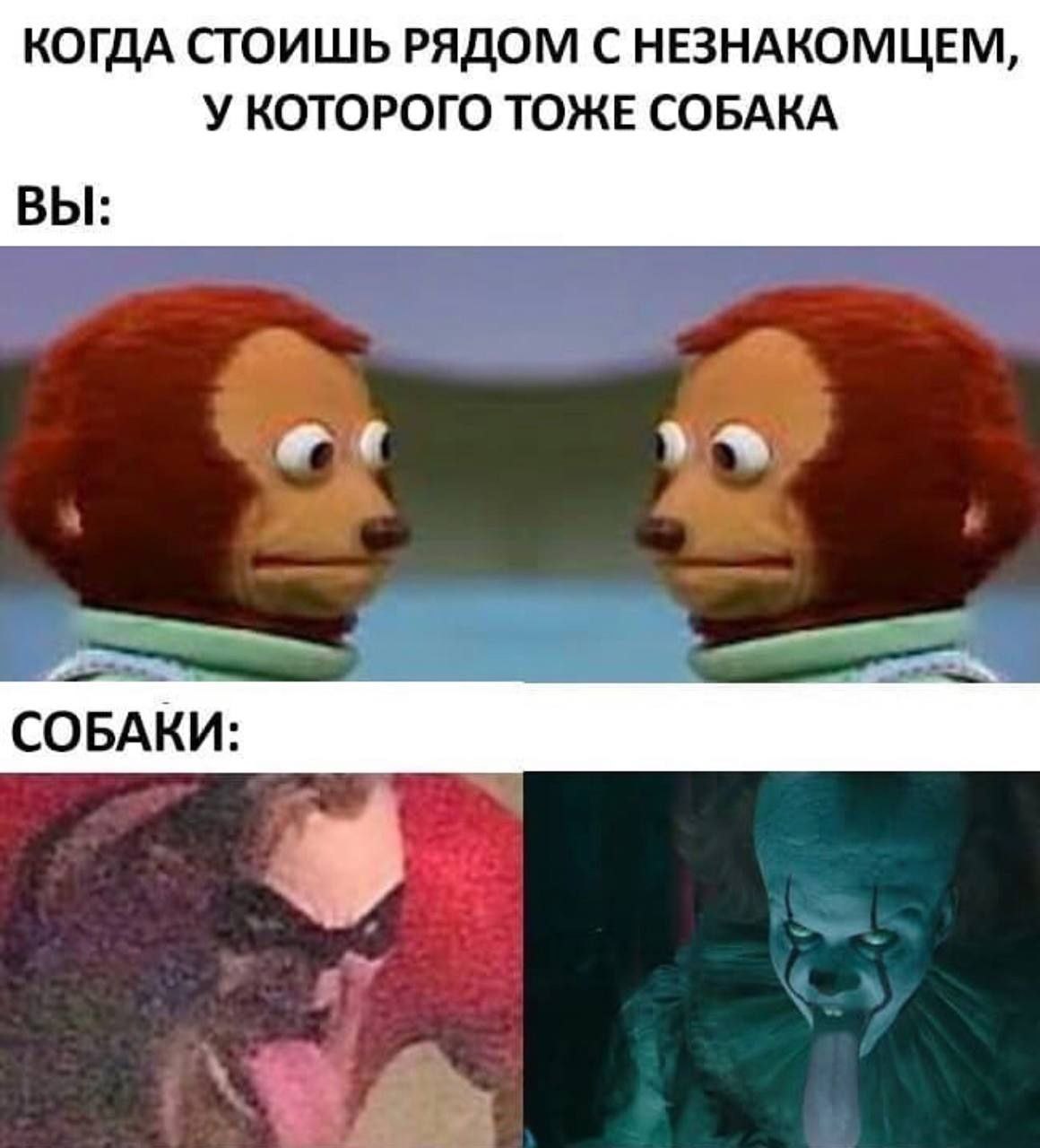 КОГДА СТОИШЬ РЯДОМ С НЕЗНАКОМЦЕМ, У КОТОРОГО ТОЖЕ СОБАКА ВЫ: