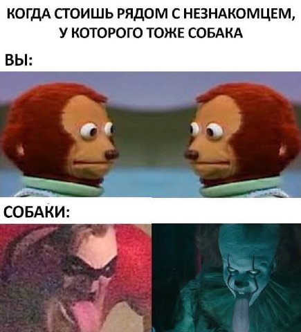 КОГДА СТОИШЬ РЯДОМ С НЕЗНАКОМЦЕМ, У КОТОРОГО ТОЖЕ СОБАКА ВЫ:
