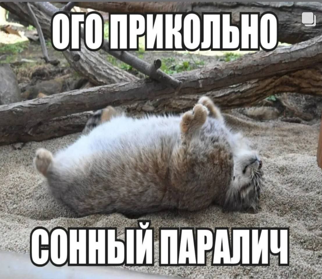 ПАРАЛИЧ