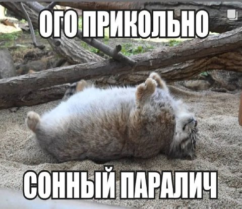 ПАРАЛИЧ