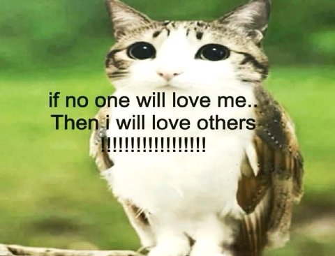 if no one love me The will love other: в