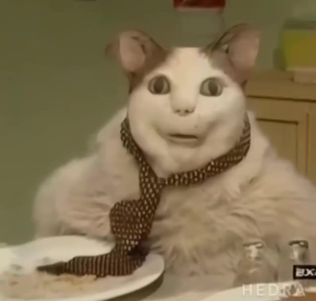 we