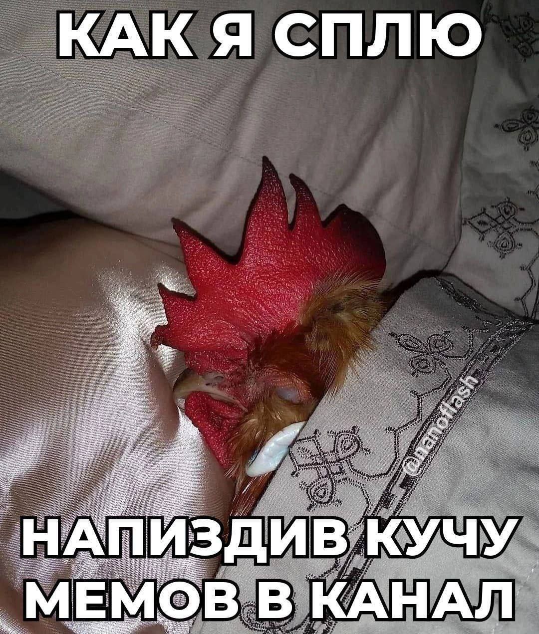 КАК Я СПЛЮ КУЧУ МЕМОВ КАНАЛ.