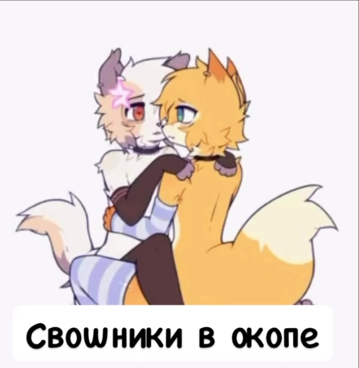 Свошники в окопе