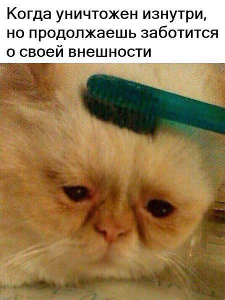 Когда уничтожен изнутри, но продолжаешь заботится о своей внешности
