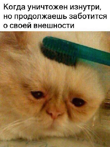 Когда уничтожен изнутри, но продолжаешь заботится о своей внешности