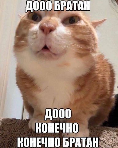000 БРАТАН КОНЕЧНО КОНЕЧНО БРАТАН