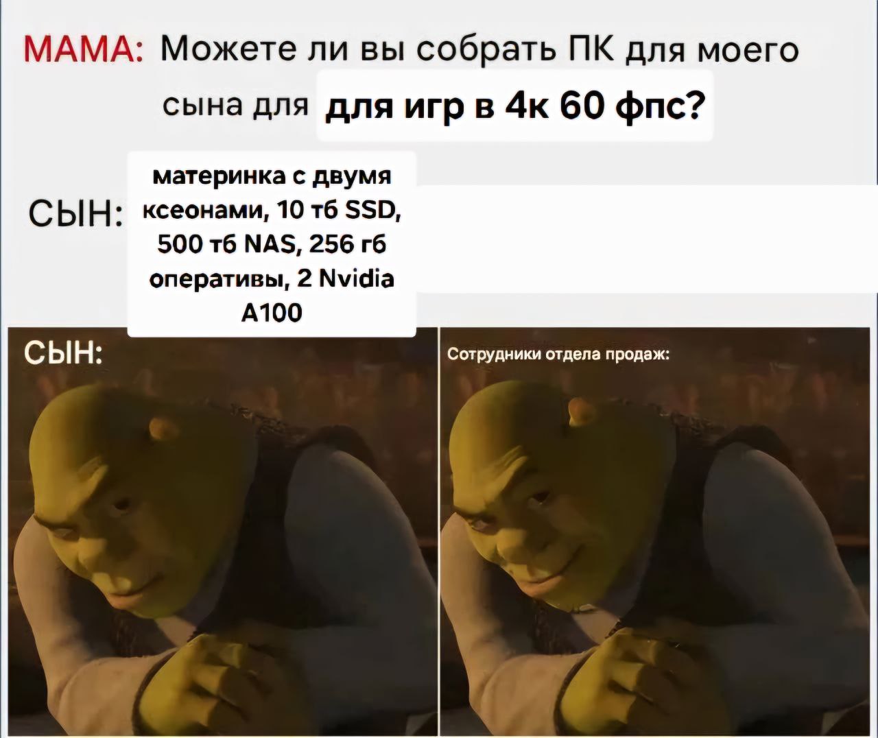 МАМА: Можете ли вы собрать для моего сына для для игр в 60 фпс? материнка с двумя СЫН: ксеонами, 10 $$0, 500 256 оперативы, 2 Nvidia А100 СЫН: Сотрудники отдела продаж: