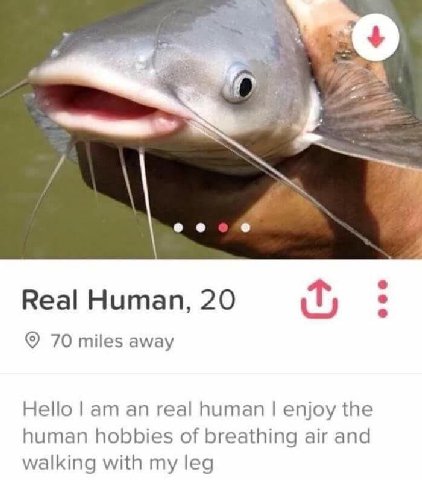 Real Human, 20 70 miles away Hello an real human enjoy the human hobbies of breathing air and walking with my leg