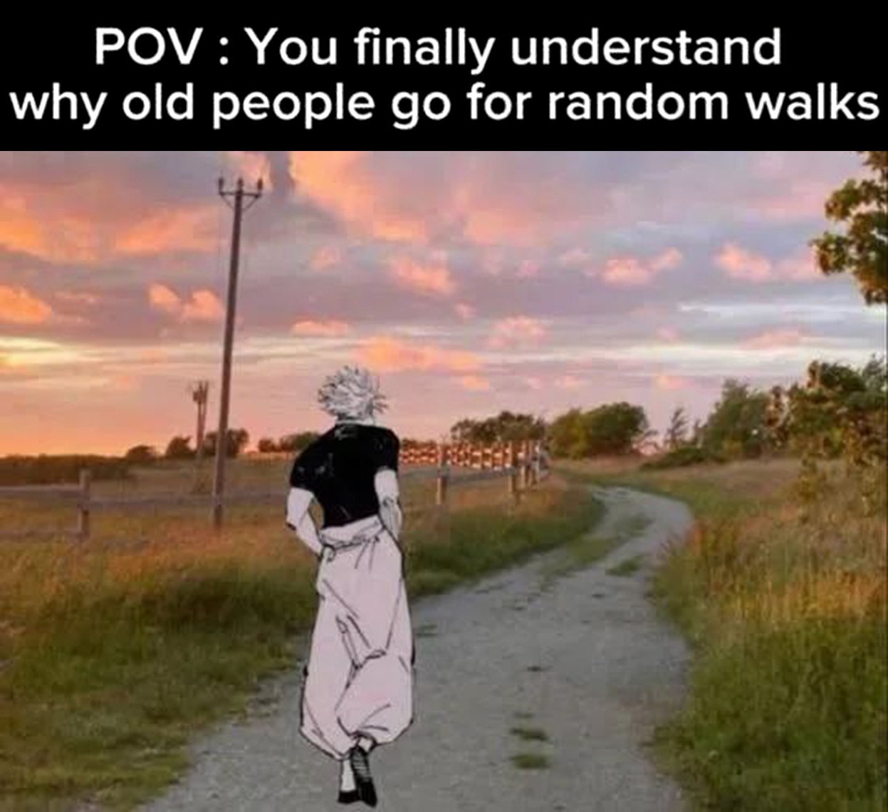 POV: You finally understand why old people for random walks