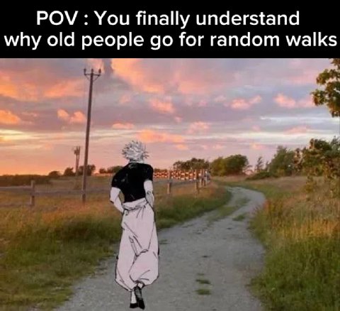POV: You finally understand why old people for random walks