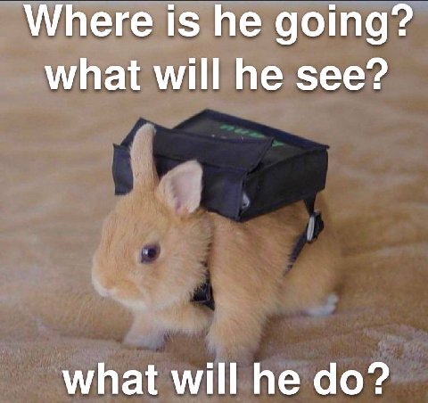 Where is he going? what will he see? what will he