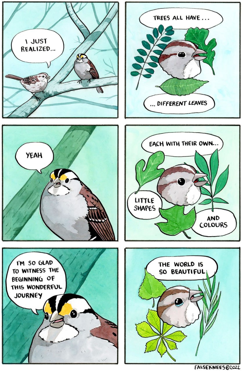 Man just wait until he discovers birds