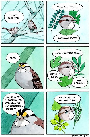 Man just wait until he discovers birds