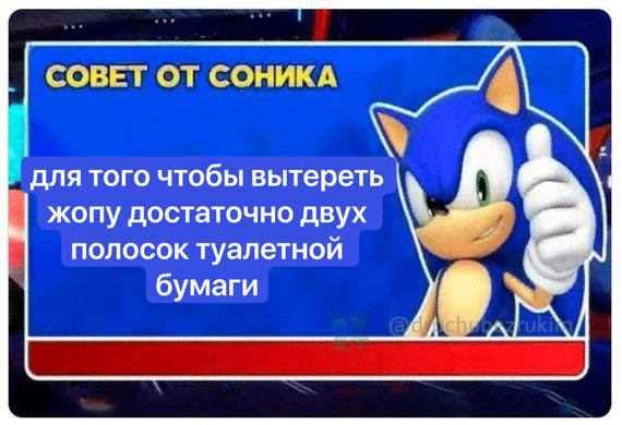 СОВЕТ ОТ СОНИКА для того чтобы вытереть жопу достаточно двух полосок туалетной бумаги