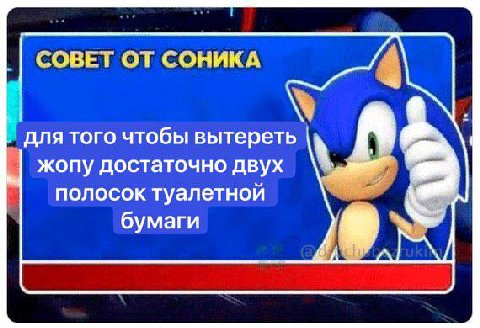СОВЕТ ОТ СОНИКА для того чтобы вытереть жопу достаточно двух полосок туалетной бумаги