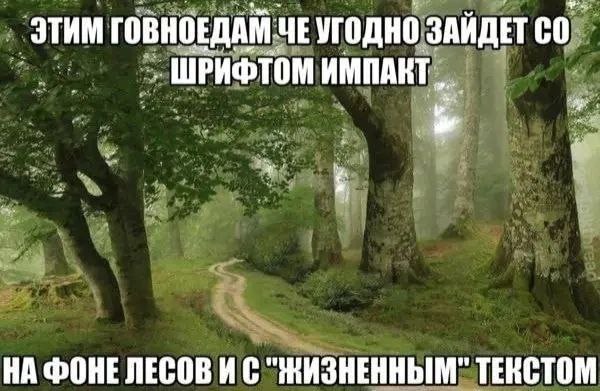 ЭТИМ ГОВНОЕДАМ ЧЕУГОДНО ЗАЙДЕТ НА ФОНЕ ЛЕСОВ И С ТЕКСТОМ
