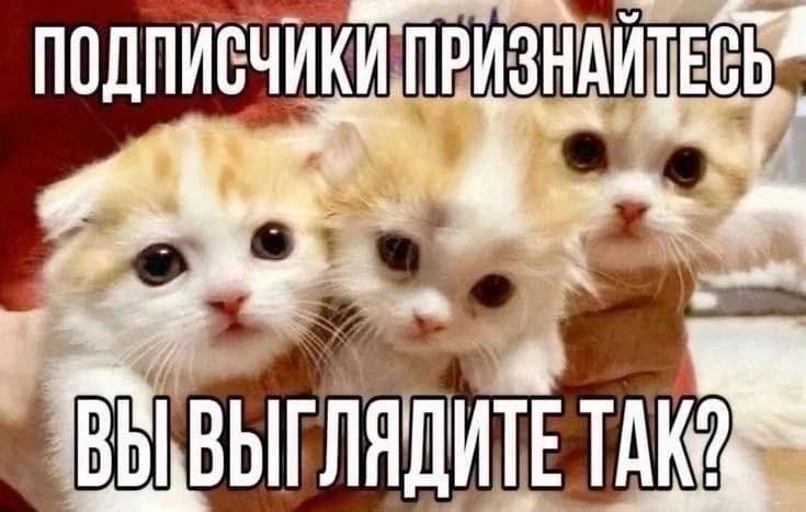 ПОДПИСЧИКИ ПРИЗНА