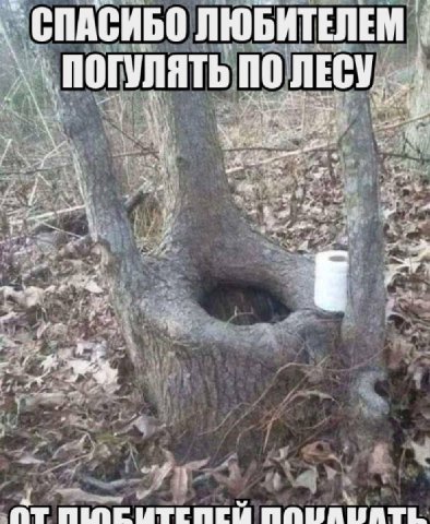 СПАСИБО ЛЮБИТЕЛЕМ ПОГУЛЯТЬ ПО ЛЕСУ. get и В a