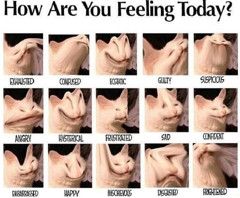 Ном/ Are You Feeling Today? CONFUSED ECSTATIC ANGRY HYSTERICAL