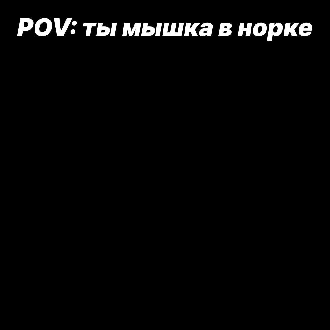 POV: ты мышка в норке