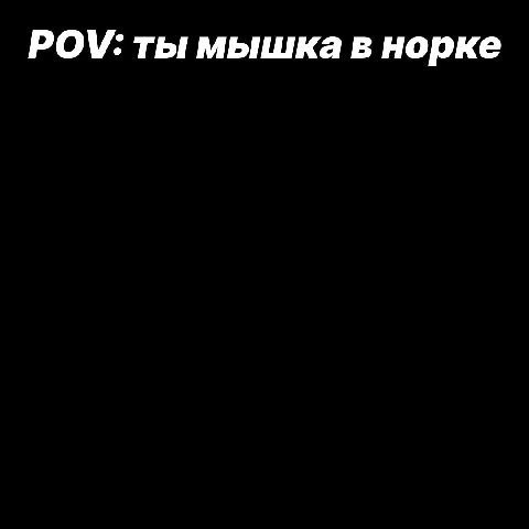 POV: ты мышка в норке