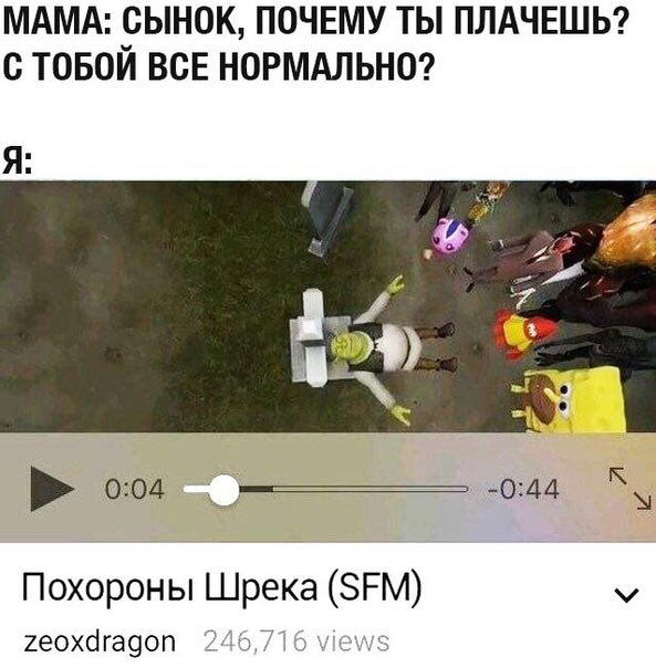 МАМА: СЫНОК, ПОЧЕМУ ТЫ ПЛАЧЕШЬ? С ТОБОЙ ВСЕ НОРМАЛЬНО? Я: 3 0:04 -0:44 Похороны Шрека (SFM) у zeoxdragon 246,716 views